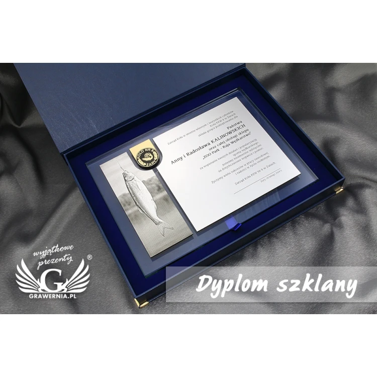 DYPLOM SZKLANY - DSZ048 - poziomy